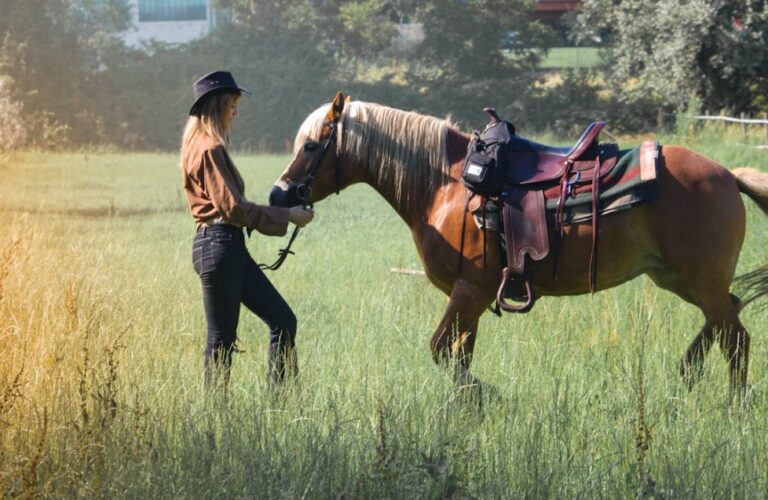 How to Measure a Horse for a Saddle UK: A Guide for Optimal Fit